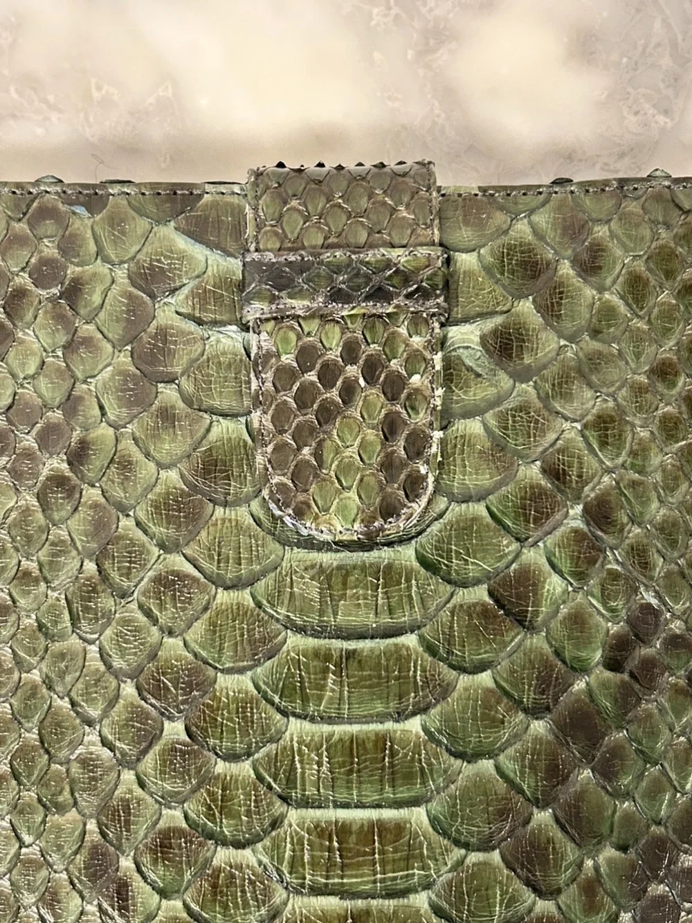 Snakeskin Tablet/iPad Case • Cavage